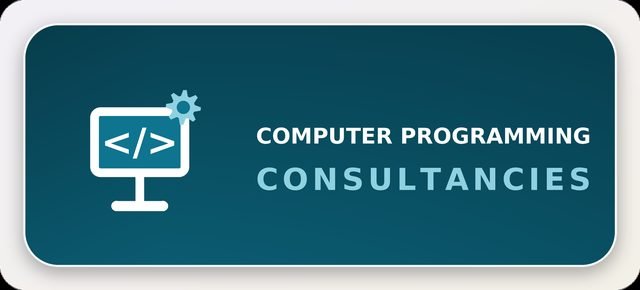 Computer Programming Consultancies